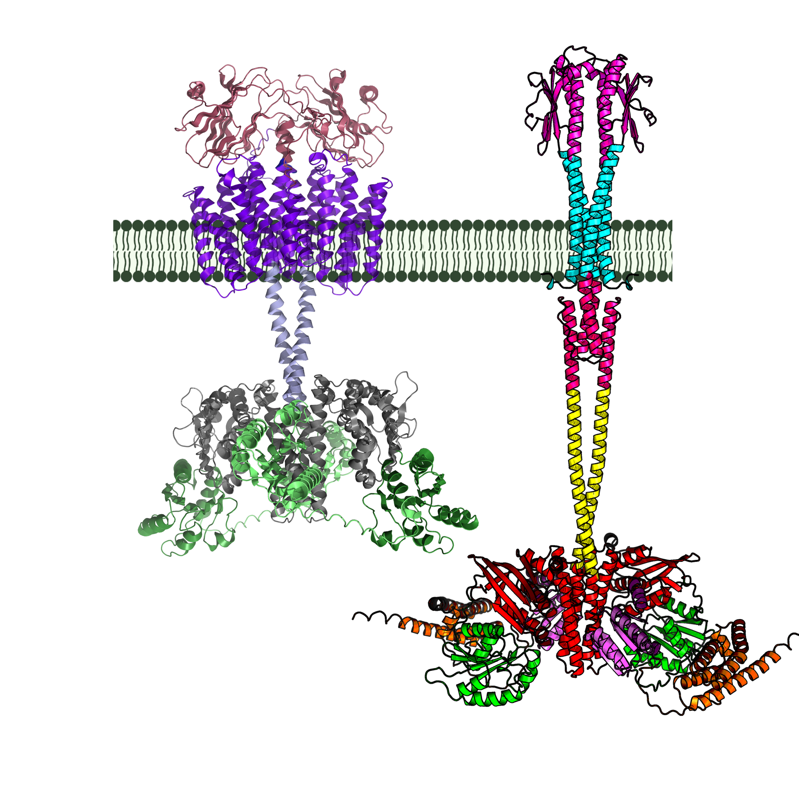 Schubot Lab